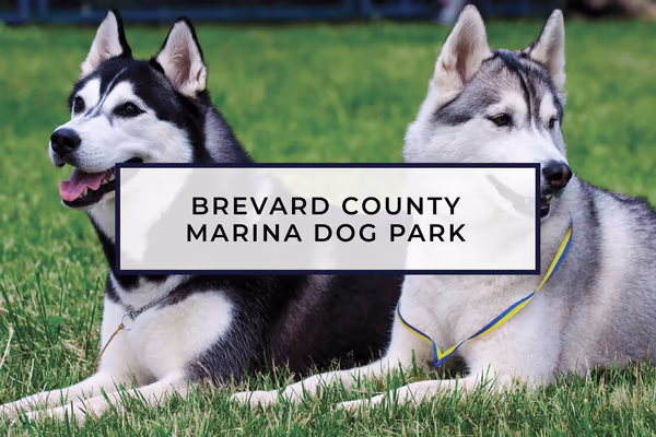 Brevard County Marina Dog Park photo 1